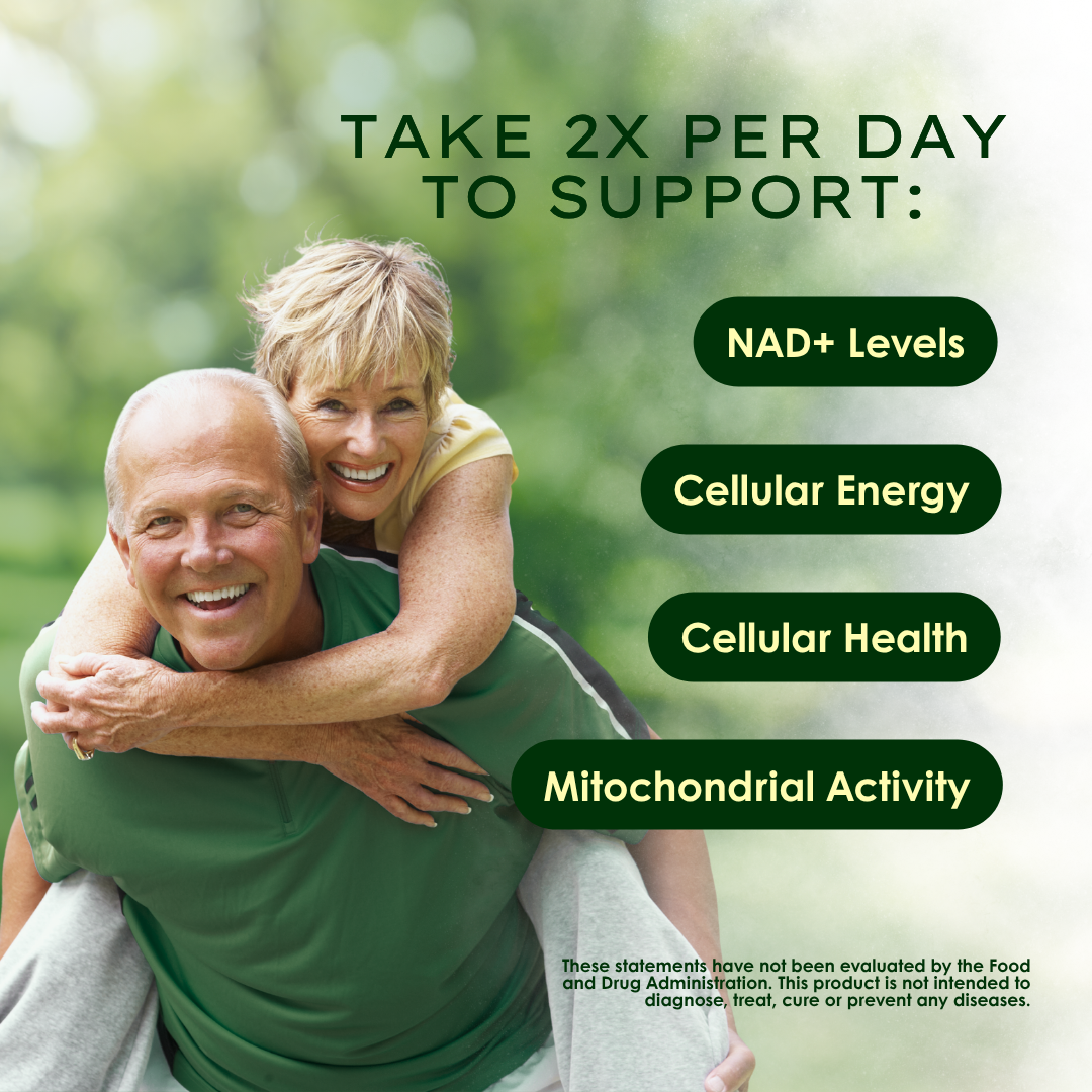 5-in-1 NAD+ with Magnesium Glycinate, L-Theanine, Resveratrol, Quercetin