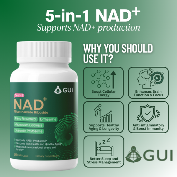 5-in-1 NAD+ with Magnesium Glycinate, L-Theanine, Resveratrol, Quercetin